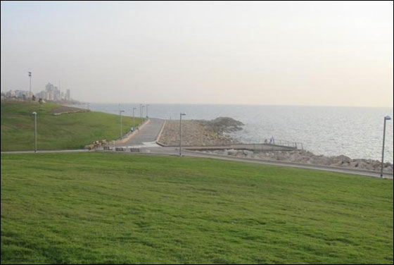 افتتاح منتزه مدرج يافا بحضور وزير جودة البيئة صورة رقم 7 افتتاح منتزه مدرج يافا بحضور وزير جودة البيئة صورة رقم 7