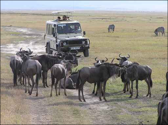 رحلة من عمان الى سويسرا بالسيارة! صورة رقم 1 رحلة من عمان الى سويسرا بالسيارة! صورة رقم 1