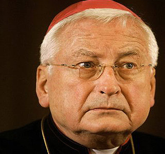 استقالة اسقف الماني بتهمة العقاب البدني بحق اطفال  صورة رقم 2