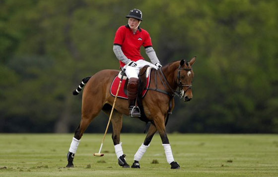 أزمة قلبية حادة اصابت فرس الامير هاري وابكته بحرقة!  صورة رقم 3