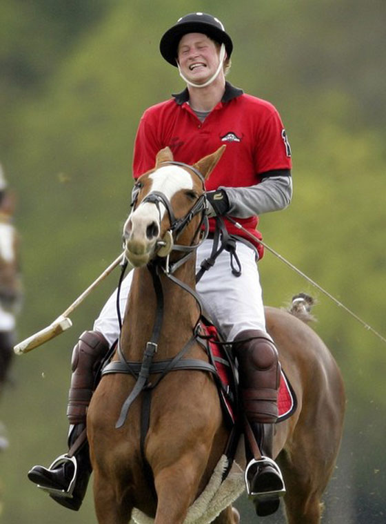 أزمة قلبية حادة اصابت فرس الامير هاري وابكته بحرقة!  صورة رقم 4