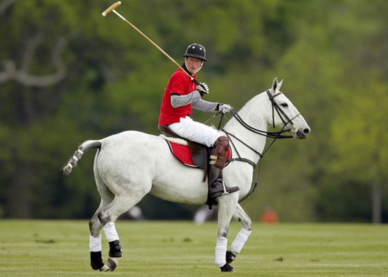 أزمة قلبية حادة اصابت فرس الامير هاري وابكته بحرقة!  صورة رقم 5