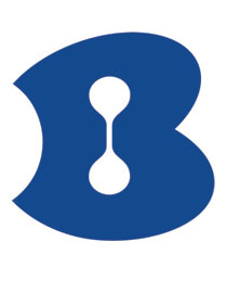 الموقع التابع لبيزك أطلق مجمّع المعلومات للوزارات الحكومية الرسمية صورة رقم 1