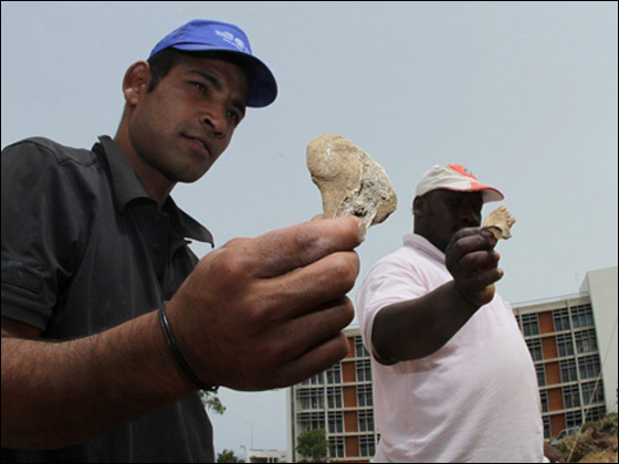 مواجهات بين الحريديم وشرطة اسرائيل بسبب نقل رفات موتى  صورة رقم 7