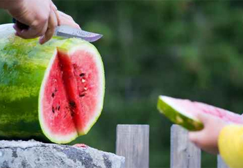 ساومه حول ثمن البطيخة فقتل! صورة رقم 1