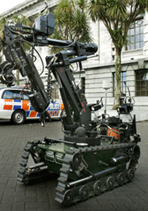 طرد  مليء بالذباب الحيّ الطنان يثير ذعر حكومة نيوزيلندا صورة رقم 1