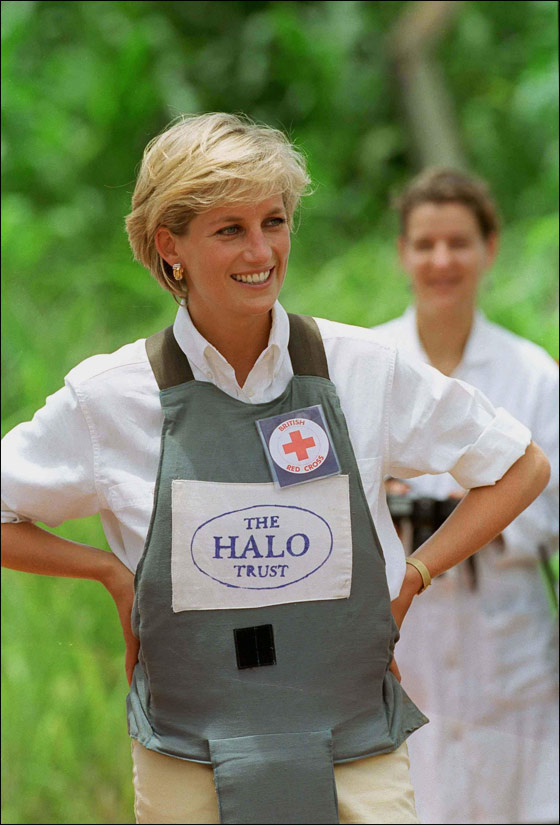 الأميرة ديانا قتلت لأنها خططت لفضح قضية تجارة الأسلحة!!  صورة رقم 10