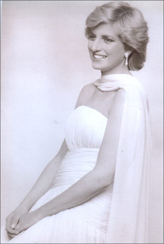 الأميرة ديانا قتلت لأنها خططت لفضح قضية تجارة الأسلحة!!  صورة رقم 16