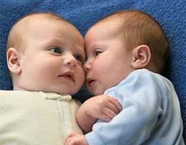 توأم للبيع على موقع الكتروني لكن مجانا! صورة رقم 1 توأم للبيع على موقع الكتروني لكن مجانا! صورة رقم 1