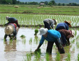 العمال الأقل أجرا.. الأكثر عملاً صورة رقم 1