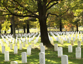 لا يصدّق.. انتشلوا جثة عذراء من قبرها ومارسوا النوع معها!!! صورة رقم 1