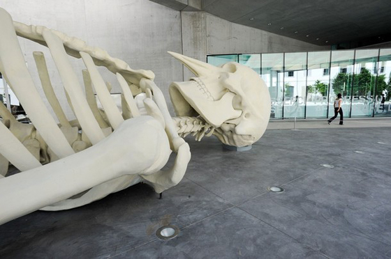 مهندسة عراقية تصمم متحف وطني فني في روما بـ 11 عاماً!! صورة رقم 5 مهندسة عراقية تصمم متحف وطني فني في روما بـ 11 عاماً!! صورة رقم 5