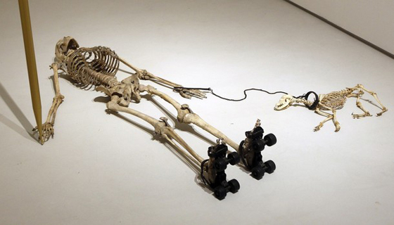 مهندسة عراقية تصمم متحف وطني فني في روما بـ 11 عاماً!! صورة رقم 11 مهندسة عراقية تصمم متحف وطني فني في روما بـ 11 عاماً!! صورة رقم 11