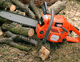 ومن الغضب ما قتل: قطع رأسه بمنشار كهربائي! صورة رقم 1 ومن الغضب ما قتل: قطع رأسه بمنشار كهربائي! صورة رقم 1