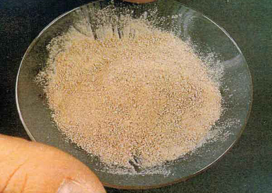 القبض على شاب يروج المخدرات على موقع 