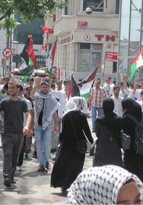 جماعات تركية تطاب بارسال قوات عسكرية لاطلاق سراح السفن!   صورة رقم 1