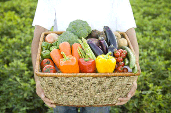 نيويورك: استغلال سطح المنزل للزراعة والتجارة! صورة رقم 1