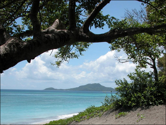 فرنسا تمنع الطلاق وتعدد الزيجات! صورة رقم 1