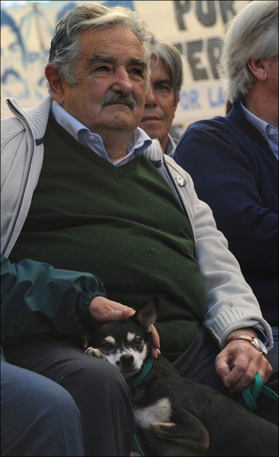 سيارة فولكسفاجن بيتل (1987).. هي ممتلكات رئيس اوروجواي!! صورة رقم 6