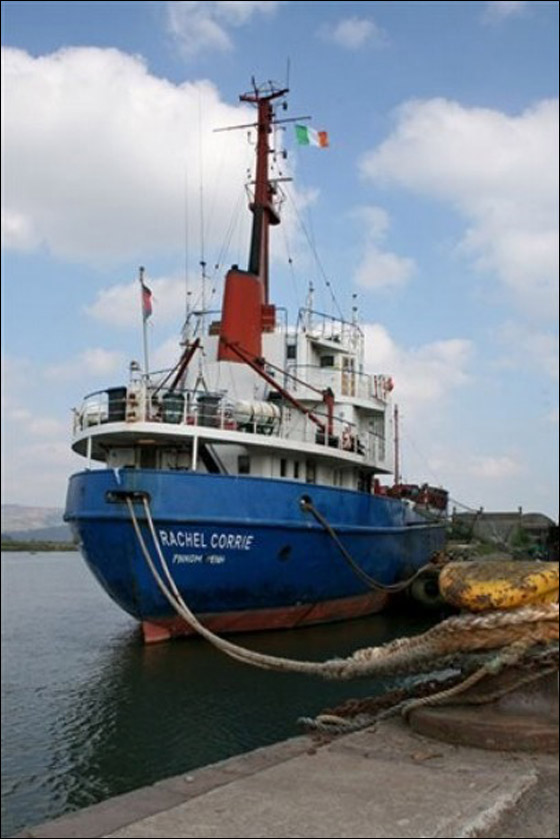 إسرائيل تصف عملية سيطرتها على ريتشيل كوري بالهادئة!!     صورة رقم 6