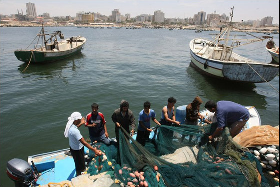 إسرائيل تصف عملية سيطرتها على ريتشيل كوري بالهادئة!!     صورة رقم 7