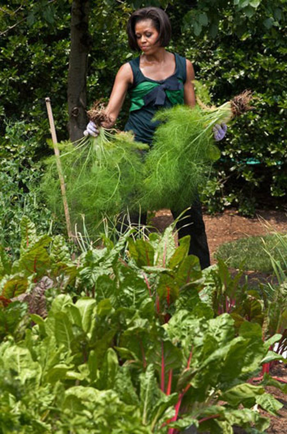 ميشيل أوباما تجمع 500 طباخ في البيت الأبيض صورة رقم 18 ميشيل أوباما تجمع 500 طباخ في البيت الأبيض صورة رقم 18