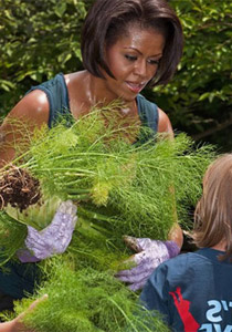 ميشيل أوباما تجمع 500 طباخ في البيت الأبيض صورة رقم 1 ميشيل أوباما تجمع 500 طباخ في البيت الأبيض صورة رقم 1