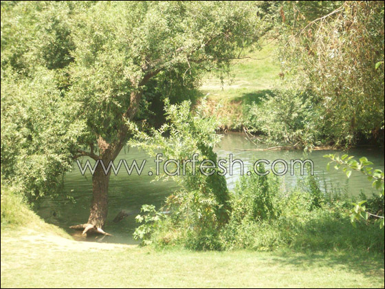 معلمو المدرسة الاعدادية معلمو المدرسة الاعدادية