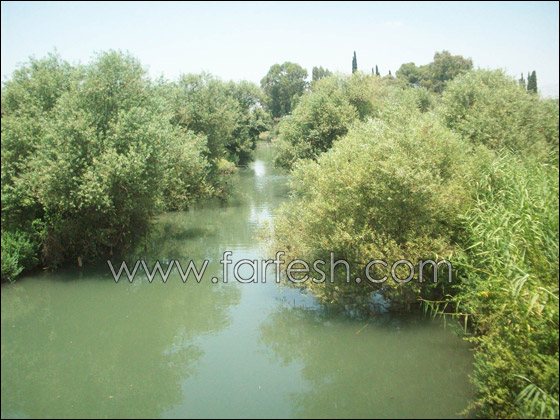 معلمو المدرسة الاعدادية معلمو المدرسة الاعدادية