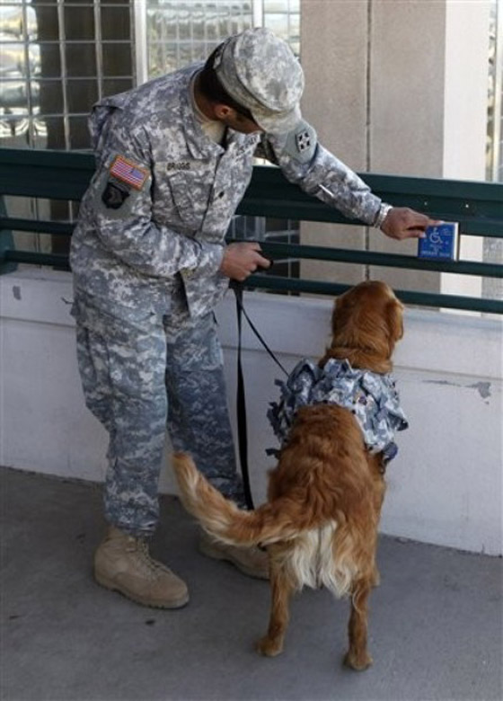 كلاب جنود أمريكا لا تقل أهمية عنهم!! صورة رقم 9 كلاب جنود أمريكا لا تقل أهمية عنهم!! صورة رقم 9