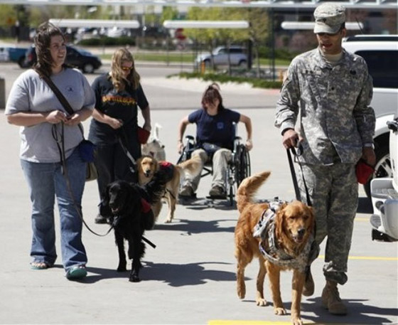 كلاب جنود أمريكا لا تقل أهمية عنهم!! صورة رقم 7 كلاب جنود أمريكا لا تقل أهمية عنهم!! صورة رقم 7