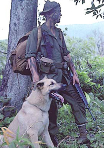 كلاب جنود أمريكا لا تقل أهمية عنهم!! صورة رقم 1 كلاب جنود أمريكا لا تقل أهمية عنهم!! صورة رقم 1