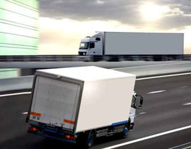 لصوص يسرقون مقطورة يجهلون احتوائها على جملين ونمر! صورة رقم 1 لصوص يسرقون مقطورة يجهلون احتوائها على جملين ونمر! صورة رقم 1