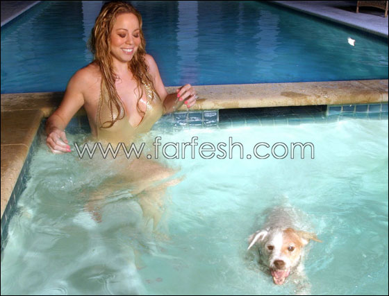 ماريا كاري دفعت 8 الاف دولار مقابل العناية بكلابها!   صورة رقم 1