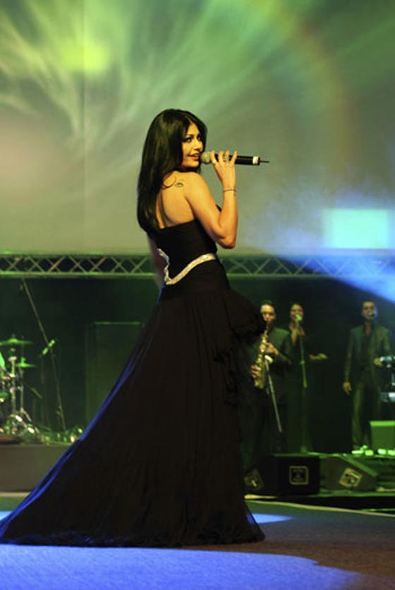 جمهور من مختلف النوعيات في حفل هيفا وهبي في دبي        صورة رقم 5