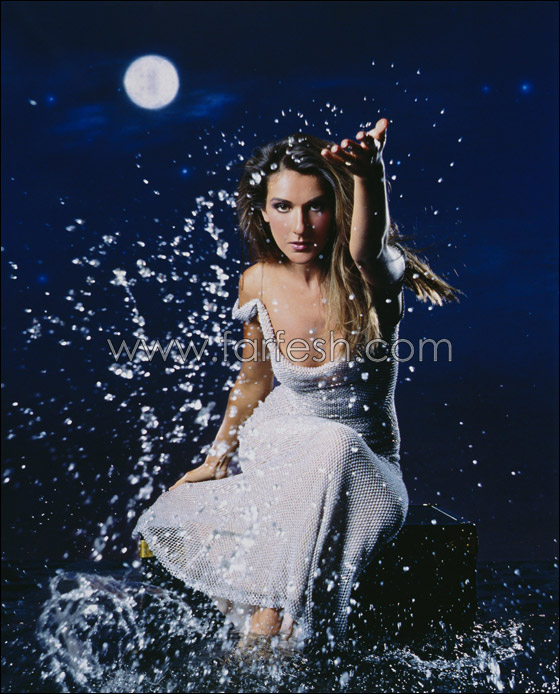 المغنية الكندية سيلين ديون سترزق بصبيين  صورة رقم 10