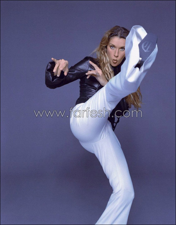 المغنية الكندية سيلين ديون سترزق بصبيين  صورة رقم 17