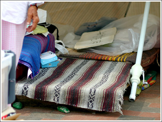 جارة اوباما تعيش في بيتها الكرتوني منذ 28 عاما! صورة رقم 7 جارة اوباما تعيش في بيتها الكرتوني منذ 28 عاما! صورة رقم 7