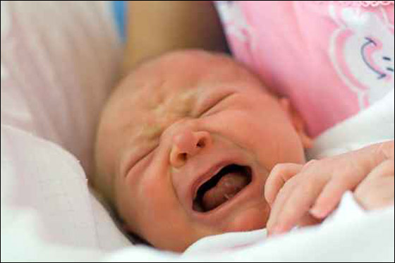 جدة امريكية جلست على حفيدتها بالخطأ.. فتوفيت! صورة رقم 1