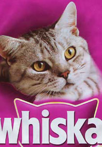 طعام القطط يباع لسكان لاهور! صورة رقم 1 طعام القطط يباع لسكان لاهور! صورة رقم 1