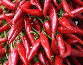 تخزين بذور الفلفل الحار خوفا من وقوع كارثة على كوكب الارض! صورة رقم 1 تخزين بذور الفلفل الحار خوفا من وقوع كارثة على كوكب الارض! صورة رقم 1