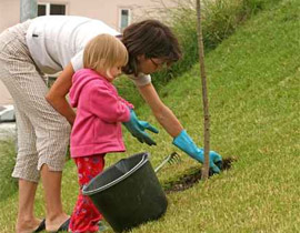 مصر: الزواج الثاني فقط بإذن من المحكمة وأجر لربة المنزل!  صورة رقم 1