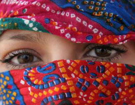 بقرار من وزارة التعليم منع المنتقبات الدخول للحرم الجامعي! صورة رقم 1