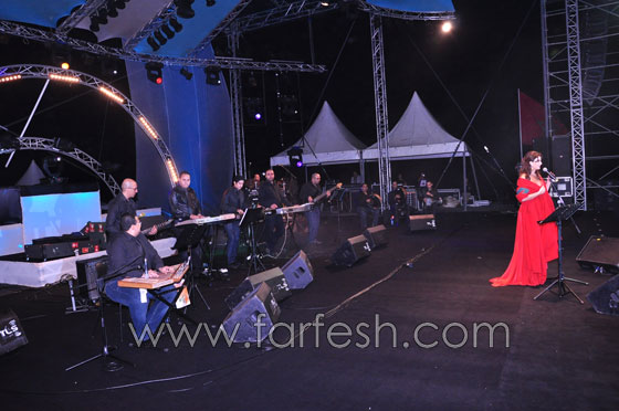 سيرين عبد النور تنافس سلاف فواخرجي على كليوباترا!  صورة رقم 2