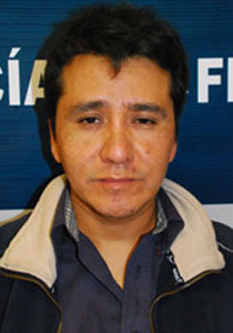 مكسيكو: القبض على رجل هرب 18 قردا رضيعا! صورة رقم 1 مكسيكو: القبض على رجل هرب 18 قردا رضيعا! صورة رقم 1