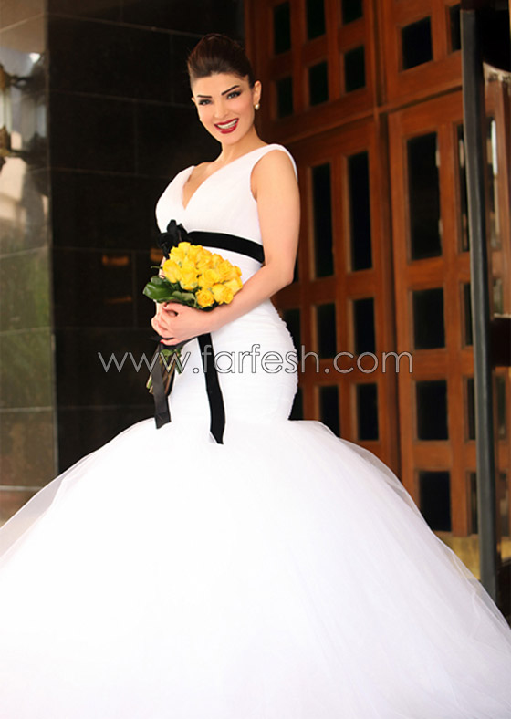 بالصور.. فيروس خطير يستدعي سفر دينا حايك إلى فرنسا   صورة رقم 10