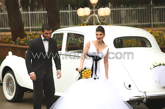 بالصور.. فيروس خطير يستدعي سفر دينا حايك إلى فرنسا   صورة رقم 9