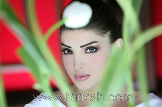 بالصور.. فيروس خطير يستدعي سفر دينا حايك إلى فرنسا   صورة رقم 11