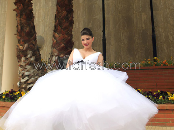 بالصور.. فيروس خطير يستدعي سفر دينا حايك إلى فرنسا   صورة رقم 6