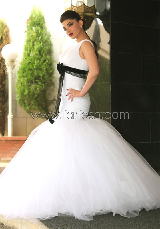 بالصور.. فيروس خطير يستدعي سفر دينا حايك إلى فرنسا   صورة رقم 8